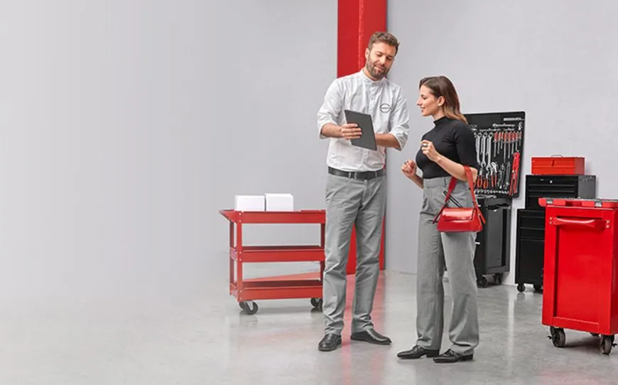 Promesas Nissan