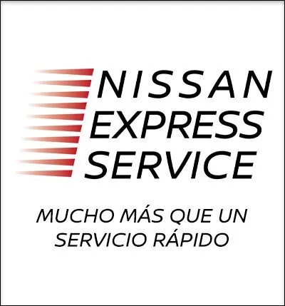 Nissan Express Service